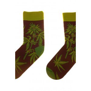 Obrázkové ponožky 80 Funny herbs