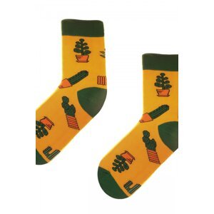 Obrázkové ponožky 80 Funny cactus
